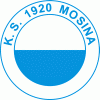 1920mosina