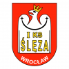 free-vector-sleza-wroclaw-0_030860_sleza-wroclaw-0