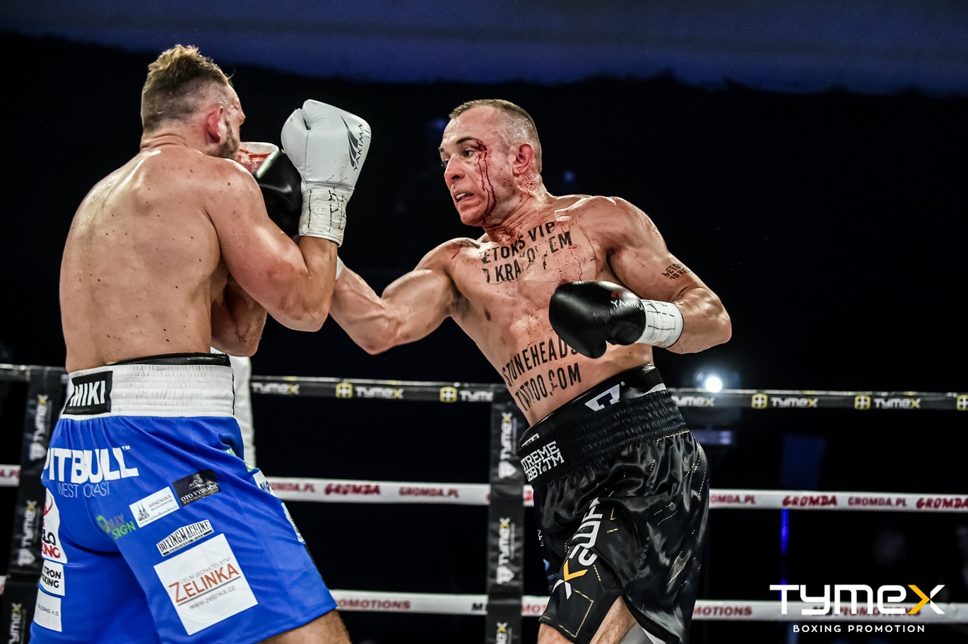 Rękawice bokserskie WOLF BLACK V 10 oz 5 Rękawice bokserskie WOLF BLACK V 10 oz - obrazek 5